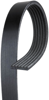 Flachriemen - Serpentine Belt  6PK2550mm